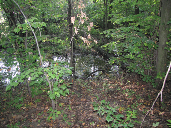 Kotvice18 (6)